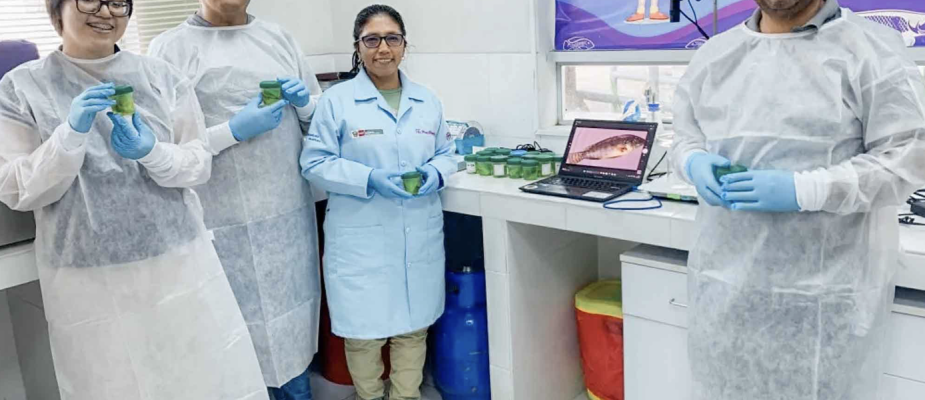 Investigadores de la UPeU crean dispositivo inteligente para optimizar la producción de tilapia en la selva peruana